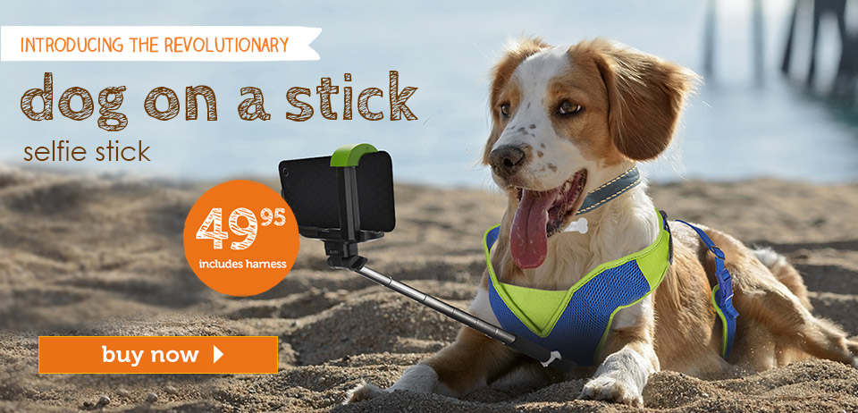 april fools day dog selfie stick