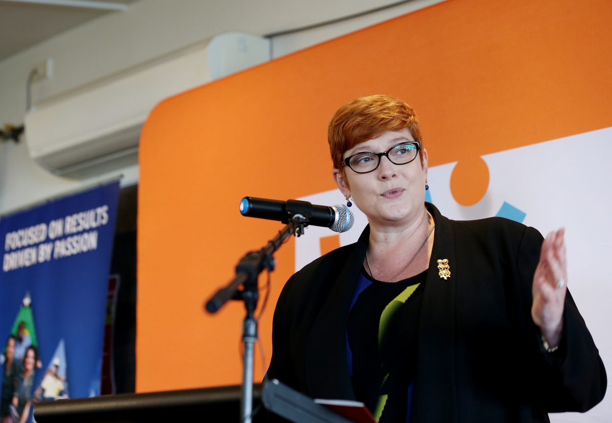 Ms Payne is against spending hundreds of millions of dollars to address the symptoms.