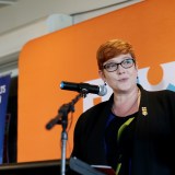 Ms Payne is against spending hundreds of millions of dollars to address the symptoms.