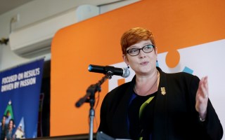 Ms Payne is against spending hundreds of millions of dollars to address the symptoms.
