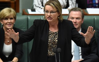 Ms Ley set up two separate trials of the new e-health system.