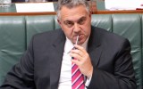 The Treasurer says there won't be an iron ore inquiry.