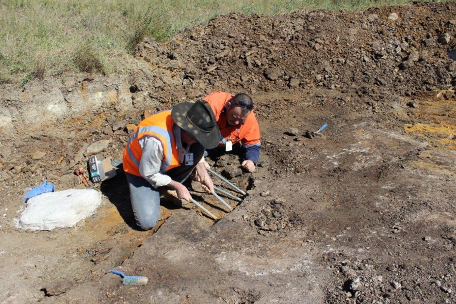 An Australian Age of Dinosaurs crew digging for fossils.