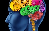 Nootropics speed up the brain's neurotransmitters.