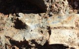 The large turtle plates were discovered about 15 metres below ground level in the oil shale mine site.