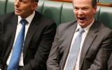 Education Minister Christopher Pyne yawns mid-speech.