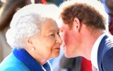 Prince Harry has been knighted for services to the British monarchy.