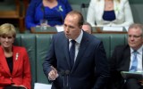 Mr Dutton said stripping citizenship would involve advice from intelligence.