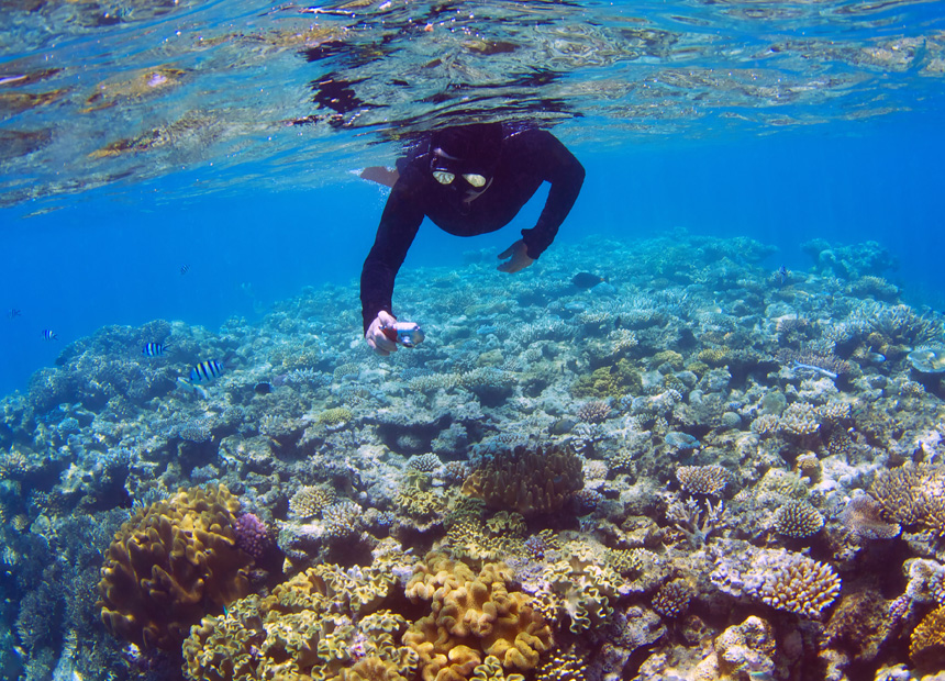 Diver dies at Barrier Reef