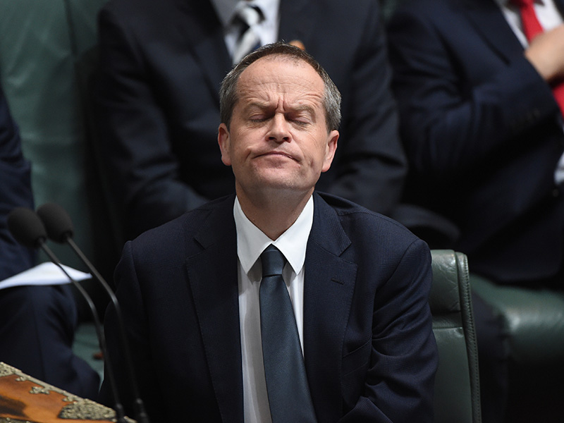 Bill Shorten supports gay marriage