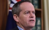 Coalition says someone's out to 'kill Bill' at the moment.