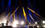Splendour in the Grass 2015