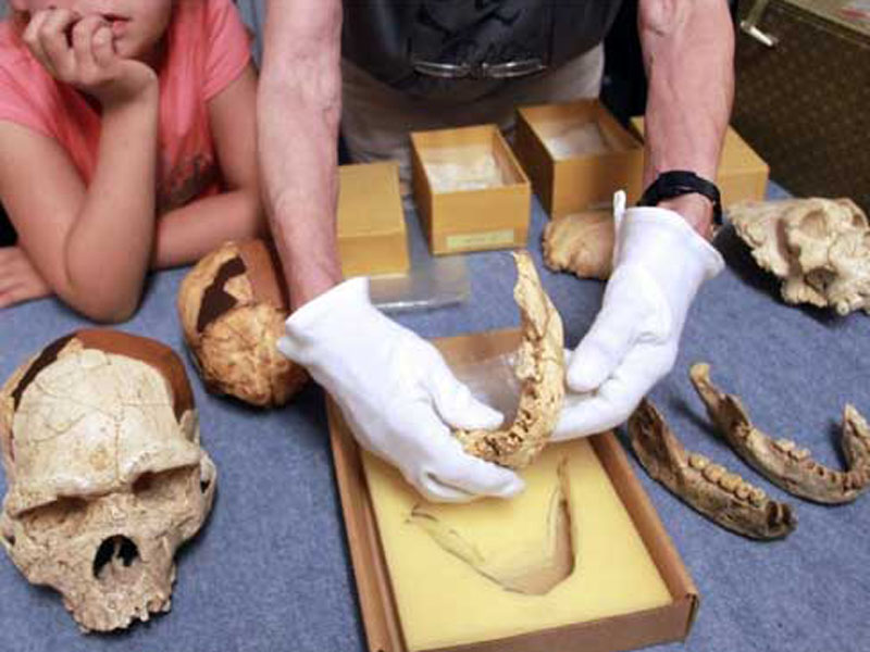 The unexpected find.