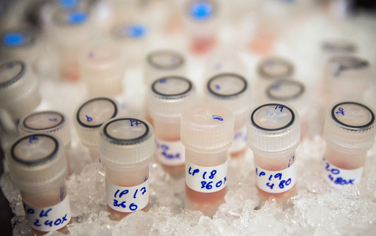 cancer treatment