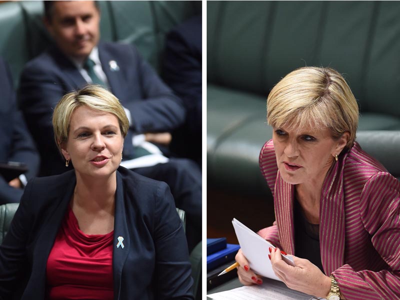 Ms Plibersek argues Australia's assistance should primarily be 'humanitarian'.