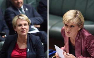 Ms Plibersek argues Australia's assistance should primarily be 'humanitarian'.
