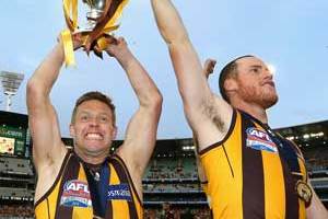 Hawthorn Premiers 2013