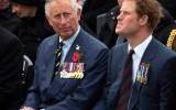 Prince Charles and Prince Harry at Gallipoli Ceremony