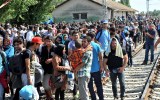 Migrants wait at a railway station, near the Serbia and Croatia border.