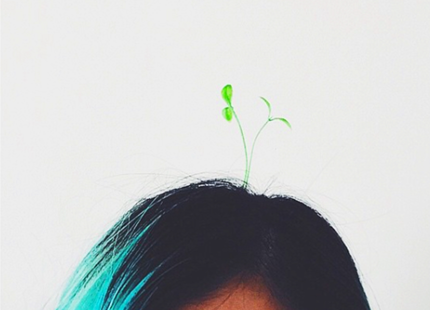 sproutcore