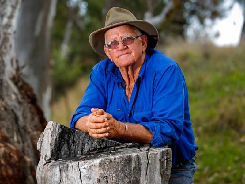 Sheep farmer Ron Morris