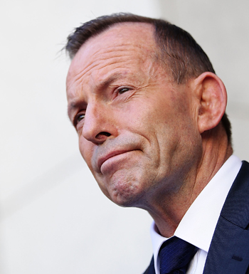 Abbott Tony