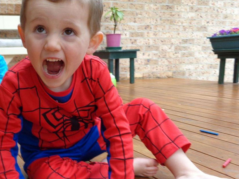 William Tyrrell inquest car