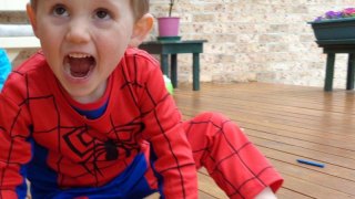 William Tyrrell inquest car