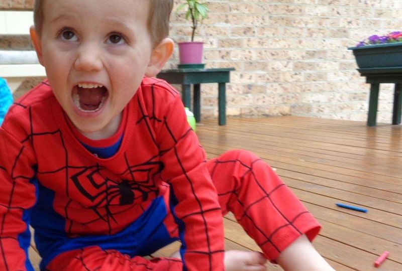 William Tyrrell inquest car