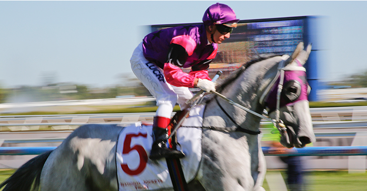 jockey
