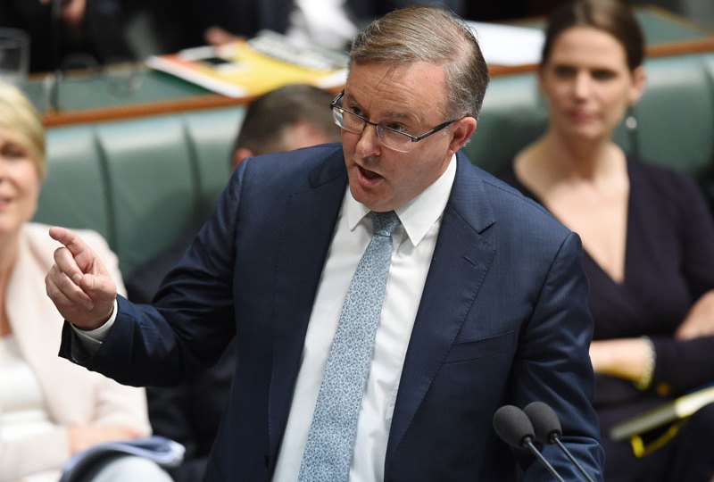 Anthony Albanese