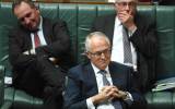 LNP House of Reps