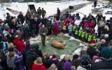 lion dissected danish zoo