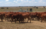 coal seam gas mining on farms