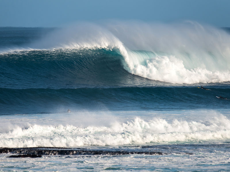 Surf Life Saving WA received a report of a person being bitten.
