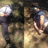 Stocco arrest photo