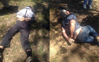 Stocco arrest photo