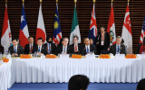 tpp negotiations