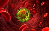 hiv aids virus