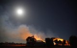 sa bushfire