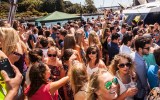 music festival crowd