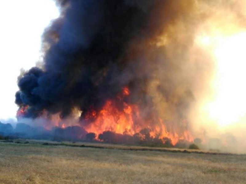 bushfires wa