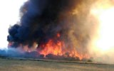 bushfires wa
