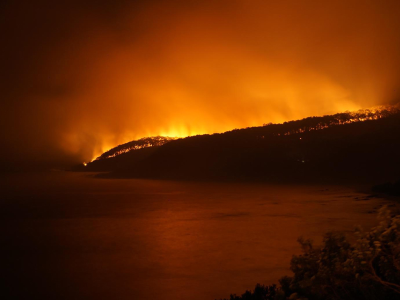 Lorne Bushfires