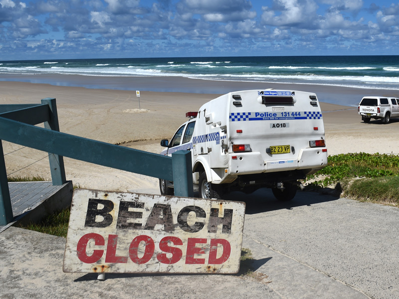 ballina shark attack