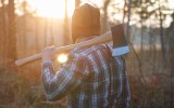 lumberjack