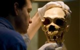 neanderthal
