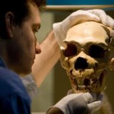 neanderthal