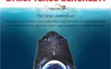 nina shark
