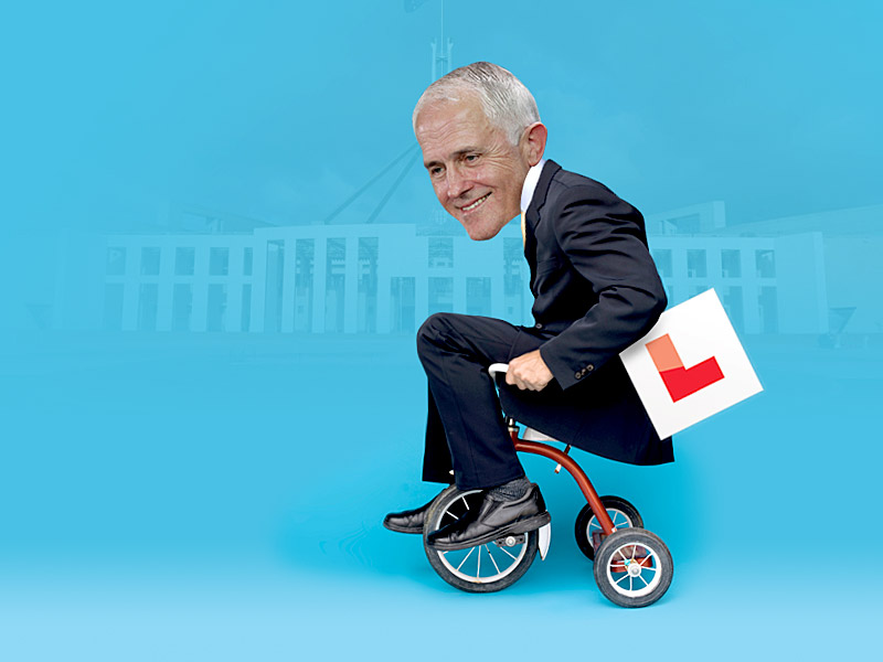 politics wrap